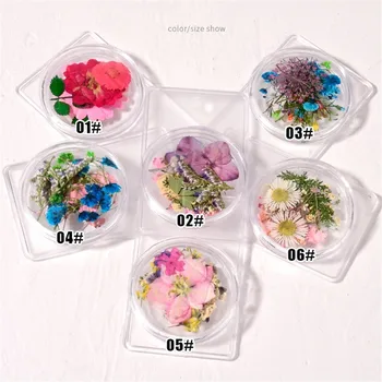 Blandet Tørrede Blomster Søm Dekorationer, Smykker Naturlige Blomster Blad Stickers 3D Nail Art Designs polsk for Manicure Tilbehør