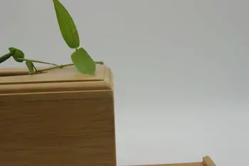 Naturlig bambus servietholder