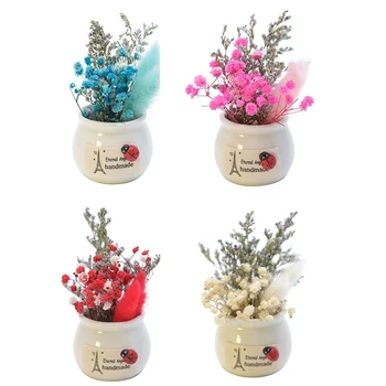 Tørrede Blomster Mini Hjem, Bil-Monteret Potteplanter Ornamenter Gypsophila Vase Hånd Gave Valentine Græs Blomst Dekoration Falde Dekoration