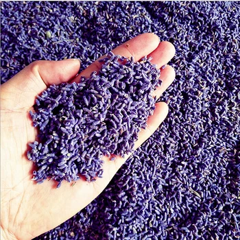 Tørret Korn Bulk Lavendel Påfyldning 1 Ounce Reel Naturlige varig Lavend Naturlig Lavendel, Tørret blomst